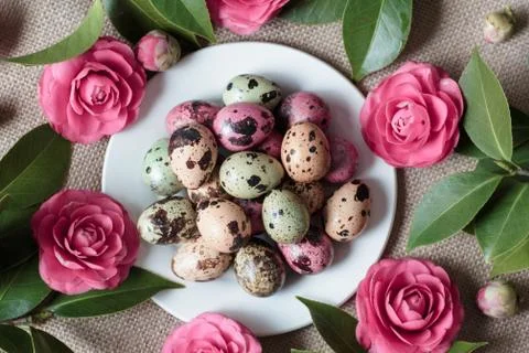 Stylish background with easter eggs and flowers Stock Photos