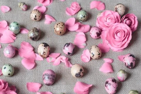 Stylish background with easter eggs and flowers Stock Photos