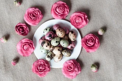 Stylish background with easter eggs and flowers Stock Photos