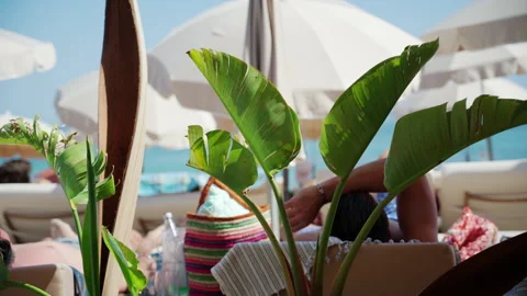 Stylish beach lounge area with umbrellas, tropical plants, and sea views on a Stock Footage 337008545