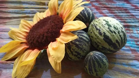 Stylish Beautiful Background of Melons And Sunflower 6 Video stock 142614537