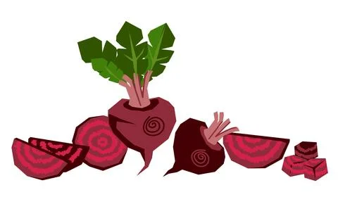 Stylish beet vegetables flat vector on white background. Stock Illustration