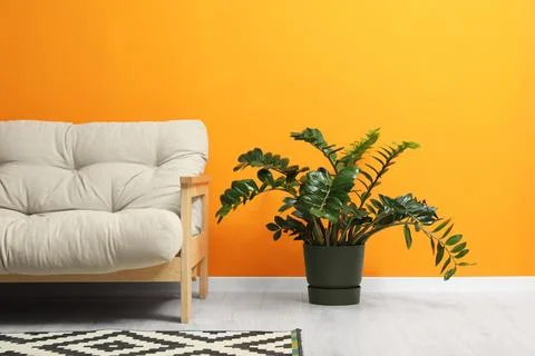 Stylish beige sofa, patterned rug and beautiful houseplant near orange wall.. Stock Photos