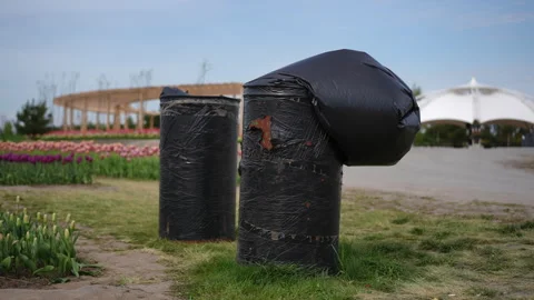 Stylish Black Trash Cans Present in a Beautiful Park Setting Filled with Natures Stock Footage 306846690