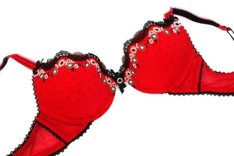 Stylish bra Stock Photos