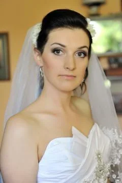 Stylish bride Stock Photos