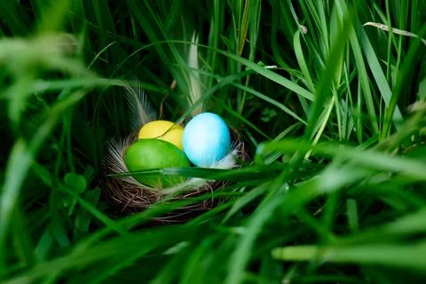 Stylish colorful easter eggs with feathers in the nest on green grass backg.. Stock Photos