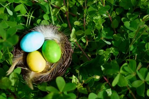 Stylish colorful easter eggs with feathers in the nest on green grass backg.. Stock Photos