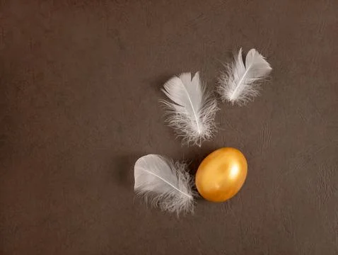 Stylish concept of Easter golden egg. Easter golden egg and chicken feather.. 库存照片
