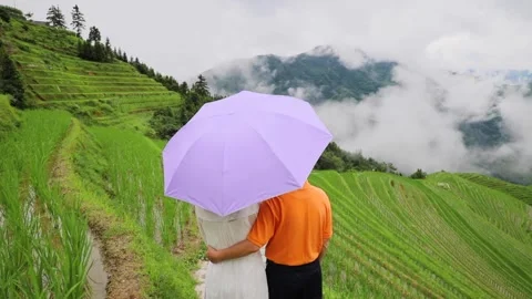 A stylish couple with umbrella walking down the path among picturesque paddy  Stock Footage 137373414