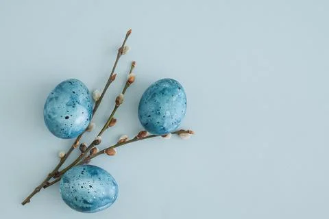 Stylish creative easter composition on pastel blue background of pussy willow Stock Photos