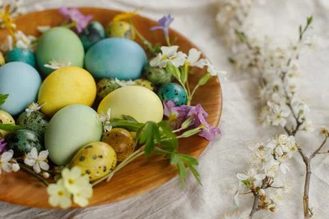 Stylish easter eggs and blooming spring flowers in wooden bowl on linen fab.. Stock Photos
