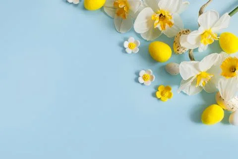 Stylish Easter eggs and yellow daffodils flowers flat lay on blue backgroun.. Stock Photos