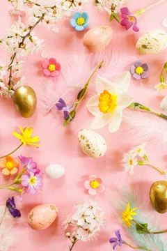 Stylish Easter eggs, spring flowers and feathers flat lay on pink backgroun.. Stock Photos