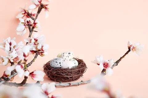 Stylish easter eggs with spring sprigs and feathers in the nest on light pi.. Stock Photos