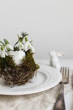 Stylish Easter table setting. Natural egg with snowdrops in nest on modern .. Stock Photos