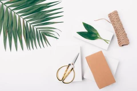 Stylish flat lay composition of palm leaf Stock Photos