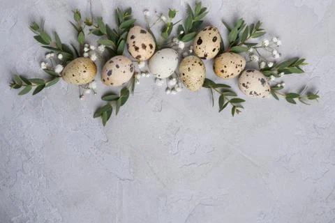 Stylish Frame background with quail easter eggs and leaf sprigs of eucalyptus Stock Photos