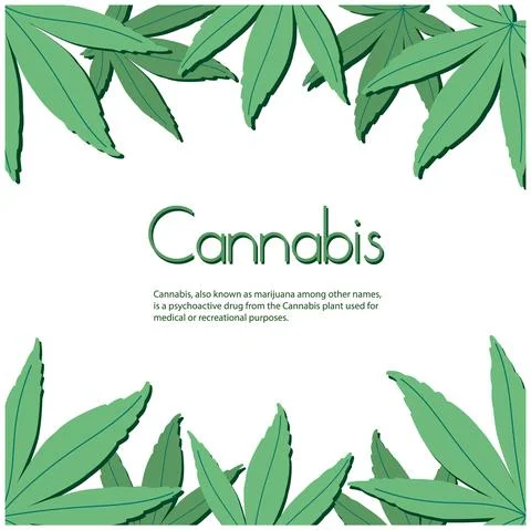 Stylish frame made from hemp leaves. Marijuana flat design. Isolated on a white Stock Illustration