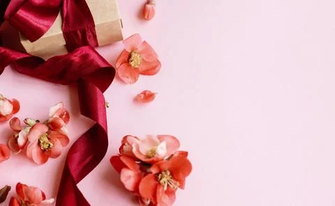 Stylish gift box with red flowers close up on pink background. Cute snail o.. Stock Photos
