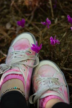 Stylish girl in pink sneakers among violet cyclamen hederifolium garden flowers Stock Photos