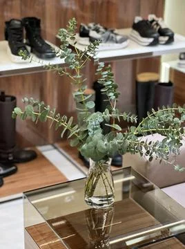 Stylish interior composition with a bouquet of eucalyptus. Stock Photos