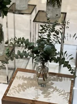 Stylish interior composition with a bouquet of eucalyptus. Stock Photos