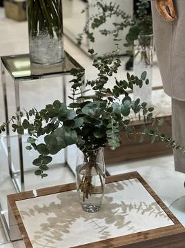 Stylish interior composition with a bouquet of eucalyptus. Stock Photos