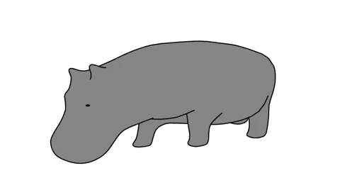 Stylish looping walk cycle of a hippo. Stock-Footage 58128905