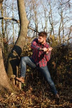 Stylish lumberjack Stock Photos
