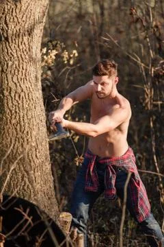 Stylish lumberjack Stock Photos