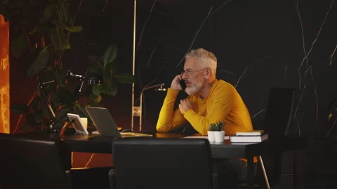 Stylish middle-aged company CEO talks on phone while working on office laptop Stock Footage 343508341