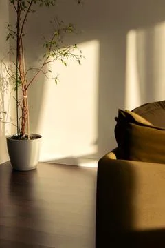 Stylish minimalist interior in the rays of light Stock Photos