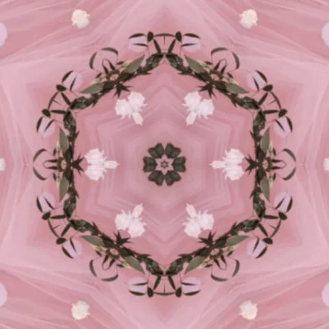 Stylish Modern Elegant Pattern Kaleidoscope leaf Circle geometry Seamless Stock Footage 227528223