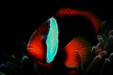 Stylish nemo Stock Photos