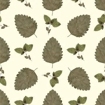 Stylish pattern with autumn leaves. Leaf fall. Autumn pattern. A modern patte Illustrazione stock
