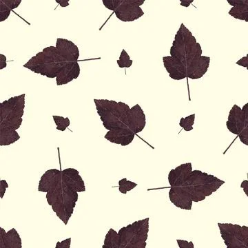 Stylish pattern with autumn leaves. Leaf fall. Autumn pattern. A modern patte イラスト素材