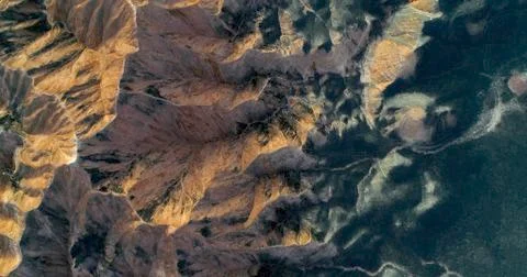 Stylish pattern created by nature. Stock Photos