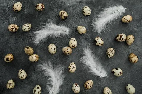 Stylish pattern with Easter eggs and feathers on dark background. Flat lay, T Stock Photos