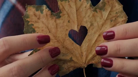 Stylish red female nails. Fall leaf with hole in heart shape in hands. Modern Stock Footage 196048759