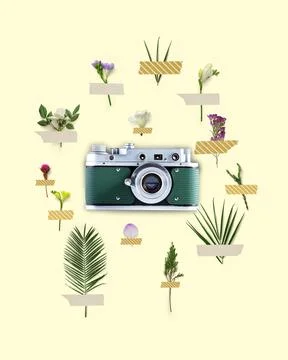 Stylish retro camera over light background with floral elements. Contemporary Fotos Stock