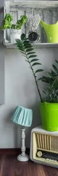 Stylish, retro decorations Stock Photos