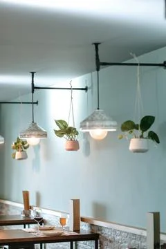 Stylish side view of a bar featuring designer white lamps, hanging plants, .. Stock Photos