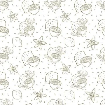 Stylish summer pattern with lemon branch, lemon flowers. Background with ci.. Stock Illustration
