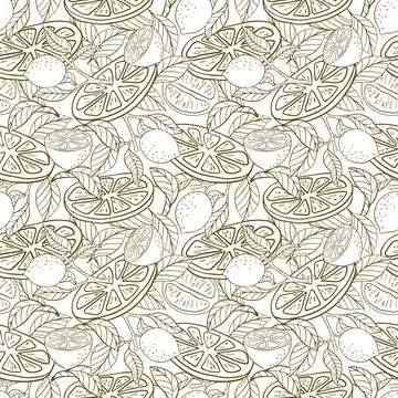 Stylish summer pattern with lemon branch, lemon flowers. Background with ci.. Stock Illustration