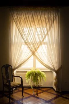 A stylish white window dressed with white curtains, a potted fern and an an.. 库存照片