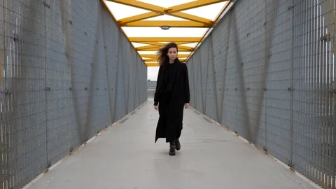 Stylish young supermodel cat walking on the bridge Stock Footage 97953952