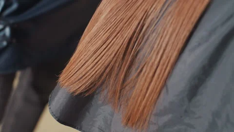 Stylist carefully trims split ends on smooth hair strands, professional salon Stock Footage 326120524