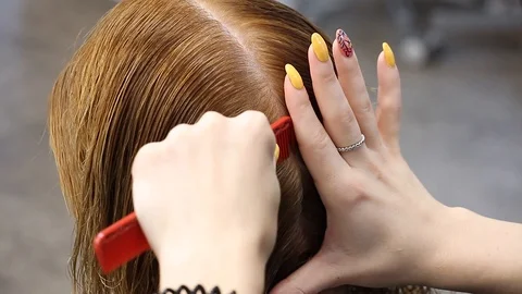 Stylist gently combs and make hair parting on female head, close-up view Video stock 113204677
