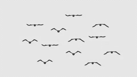 Stylized 2D Black Bird Flock Flying 4K Loop Transparent Video stock 338167451